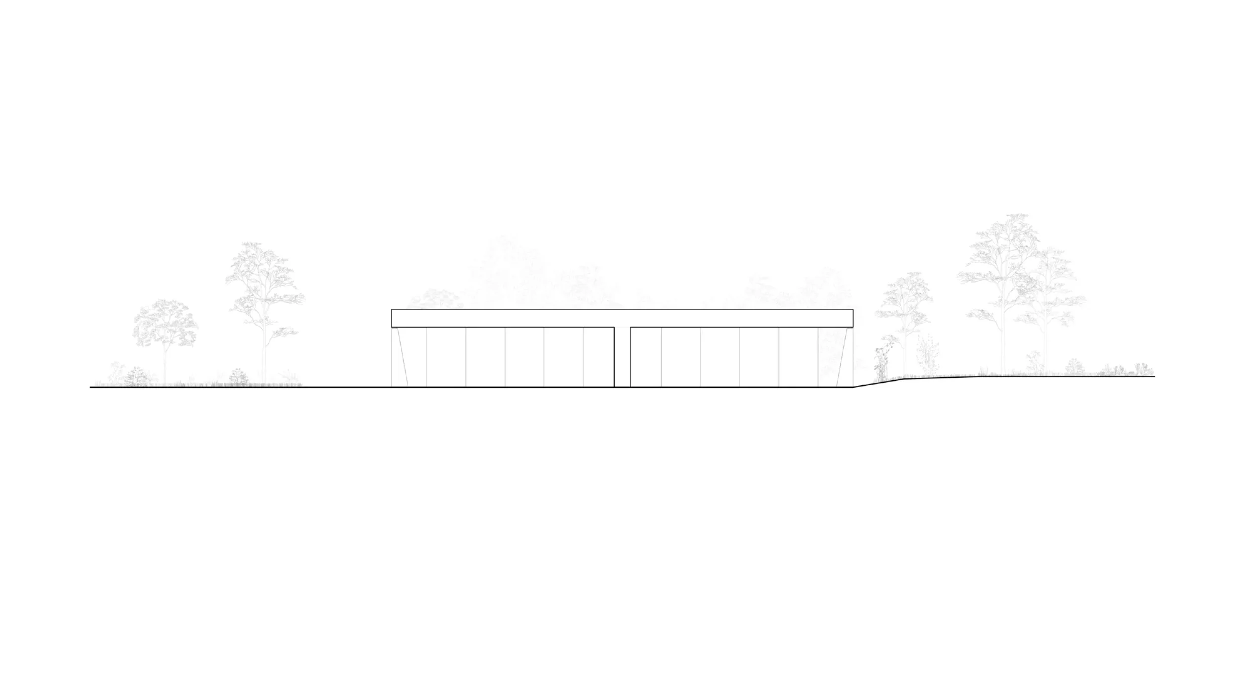 035_Elevation_250